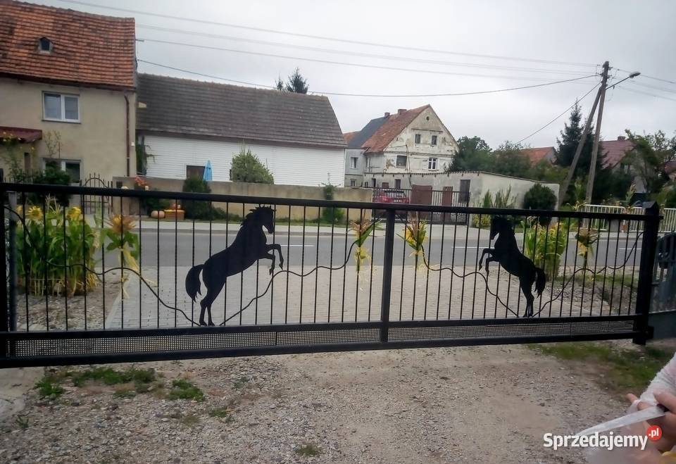 Bramy Ogrodzenia i Furtki Pichorowice