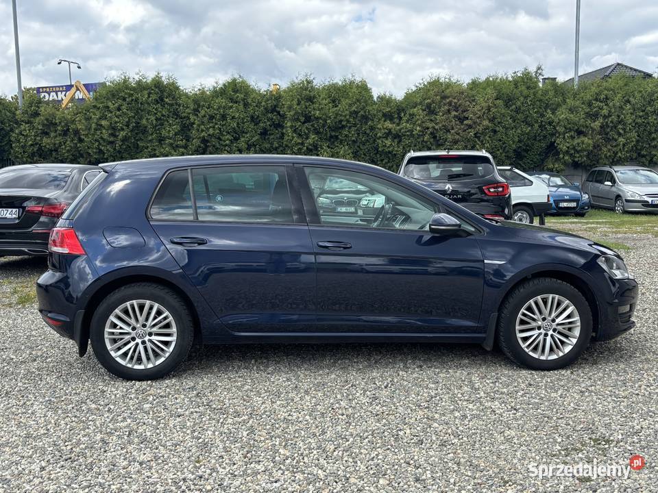 Volkswagen Golf GWARANCJA 4/5 Paniówki sprzedam