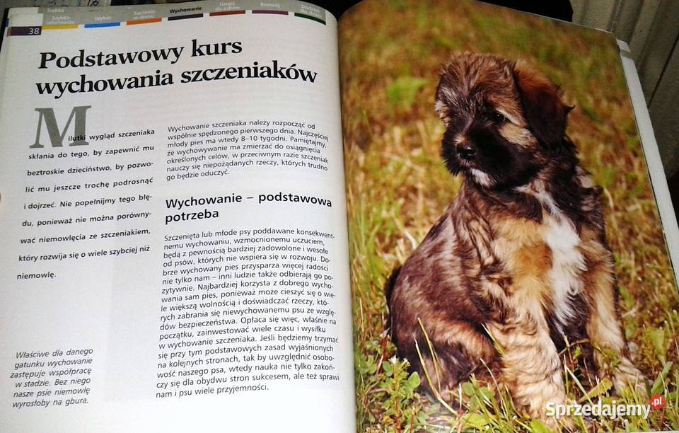 Szczenięta Heidi Rogner Chełm