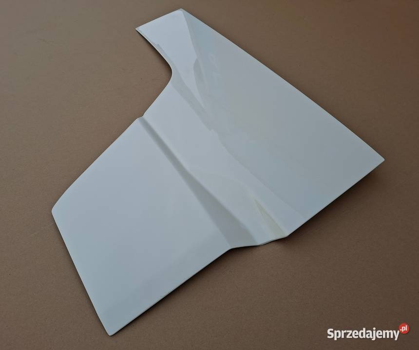 DAF XG XG PRZEDŁUŻENIE DRZWI PRAWYCH PRAWE LAK ciężarowe