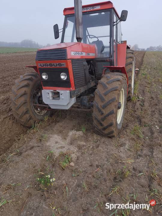 Sprzedam ursusa 912 z1985 napęd sprawny Ursus Szczytniki sprzedam