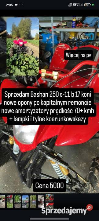 Bashan 250 chłodzony cieczą 41 lubelskie Kraśnik sprzedam