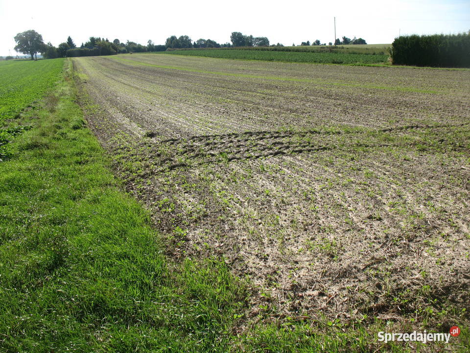 Działka rolno budowlana budowlana Lublin