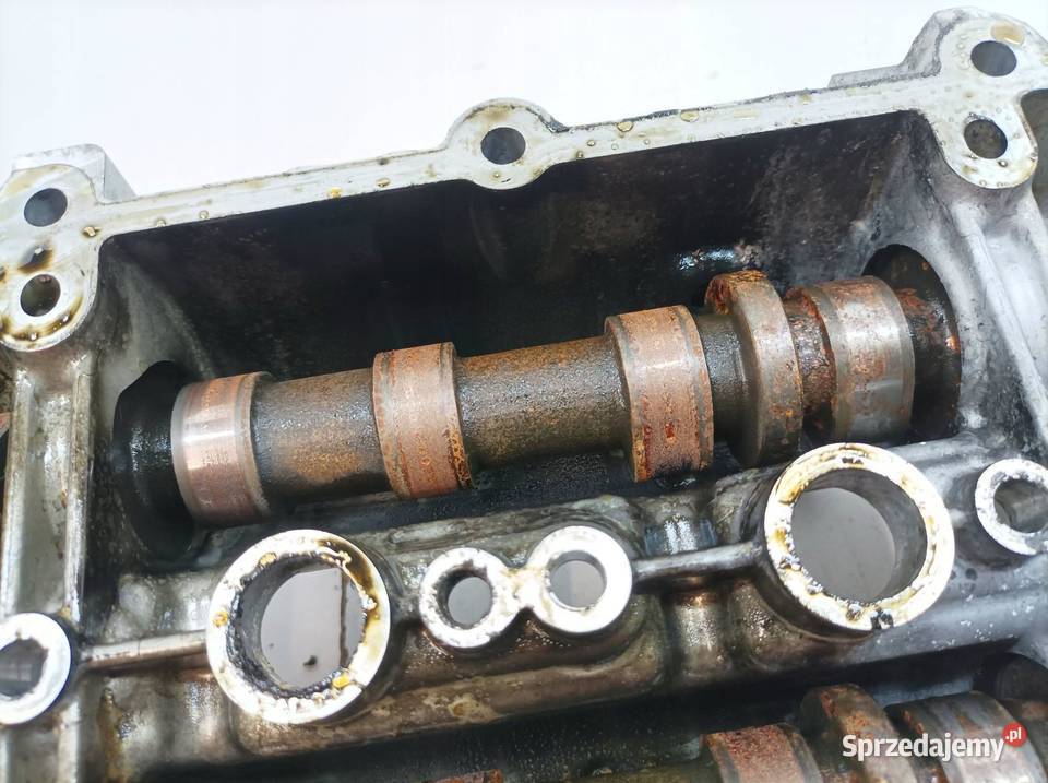 GŁOWICA KOMPLETNA 55565883 19 CDTI Opel Signum I świętokrzyskie