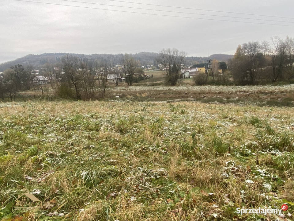 Grunt sprzedam 2260m2 Goleszów 108zł/m2 śląskie sprzedam