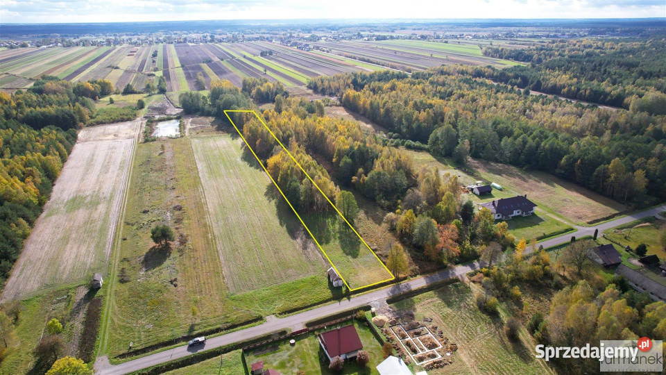 Działka Margole 7900m2 Sprzedaż
