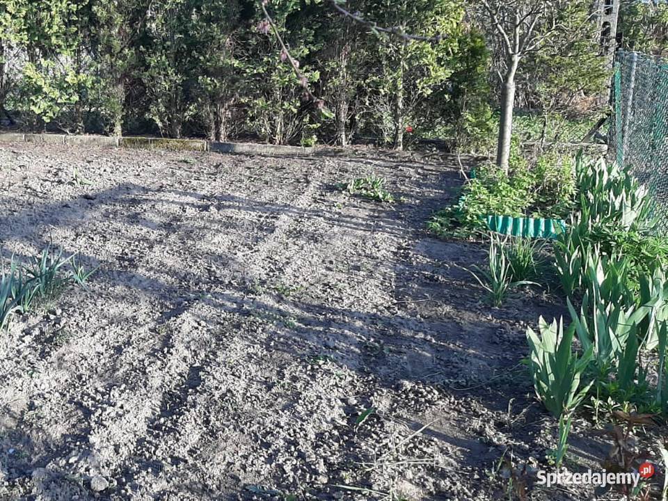 Ogródek działkowy ROD Leliwa Tarnów