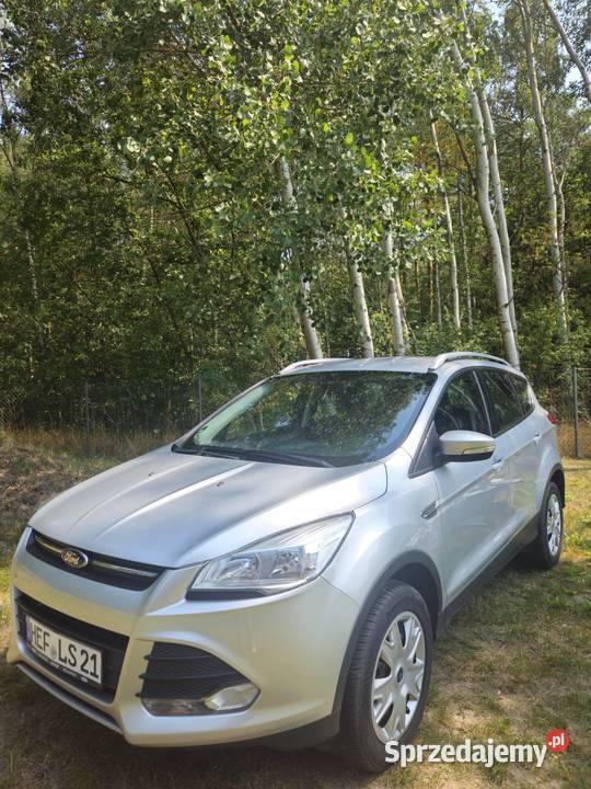 Ford Kuga 4x4 Dalborowice