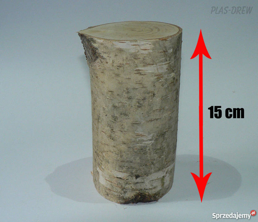 Pieńki dekoracyjne brzozowe wysokość 15 dolnośląskie Wrocław