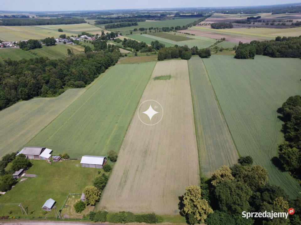 Ziemia rolna 714 ha Nietiahy gm Dębowa Kłoda sprzedam