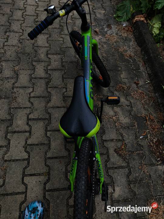 Rowerek Giant 20 stan wielkopolskie sprzedam
