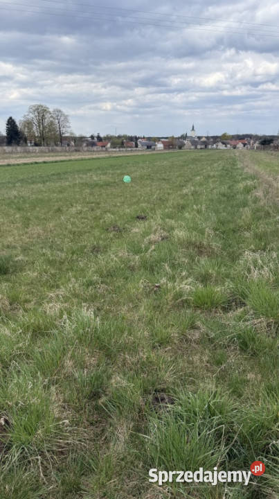 Działka rolna z potencjałem Żarki