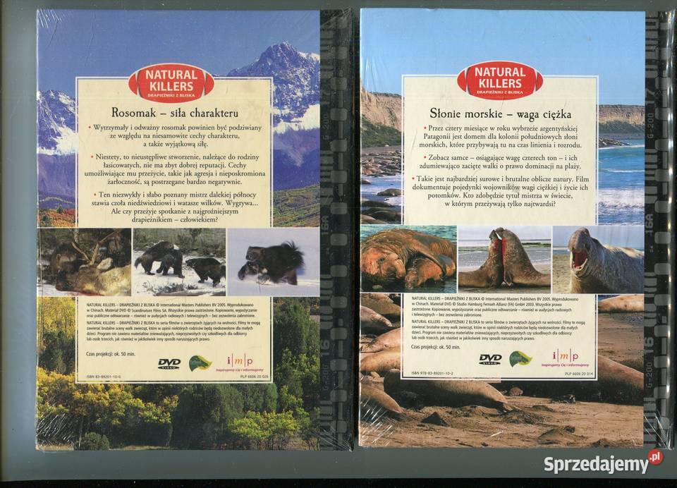 Natural Killers RosomakSłonie morskie Tygrysy 3 Szczecin