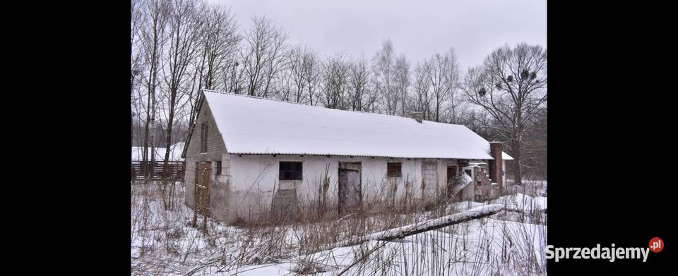 Dzialka 289ha parterowy Opole Lubelskie