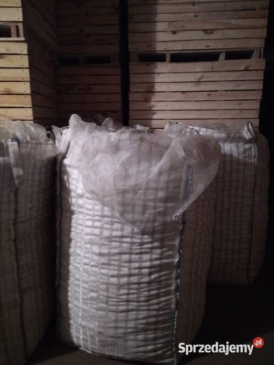 Ziemniaki sadzeniaki skrobiowe Eurostarch klB Łuków