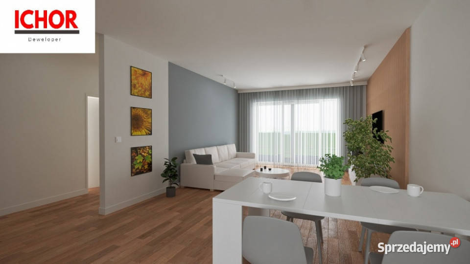 Dom Starcza Brzozowa 30 ICHOR Deweloper Liczba pokoi 4
