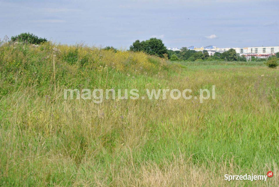 Działka rolna w sercu Wrocławia Widawą Kowale dolnośląskie Wrocław