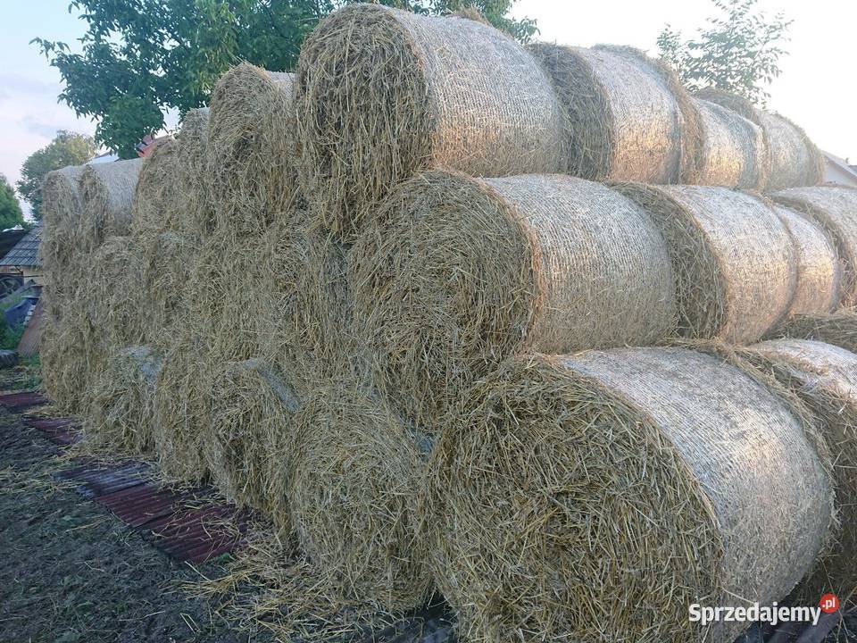Słoma kostka bele śląskie