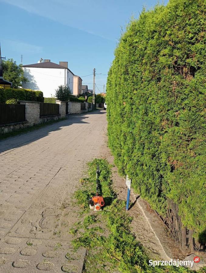 Usługi ogrodnicze Częstochowa