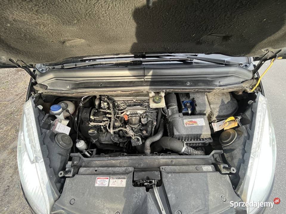 Citroen C4 Picasso I 20 Citron Grand 20 HDi C4 Grand Picasso Biała Podlaska sprzedam