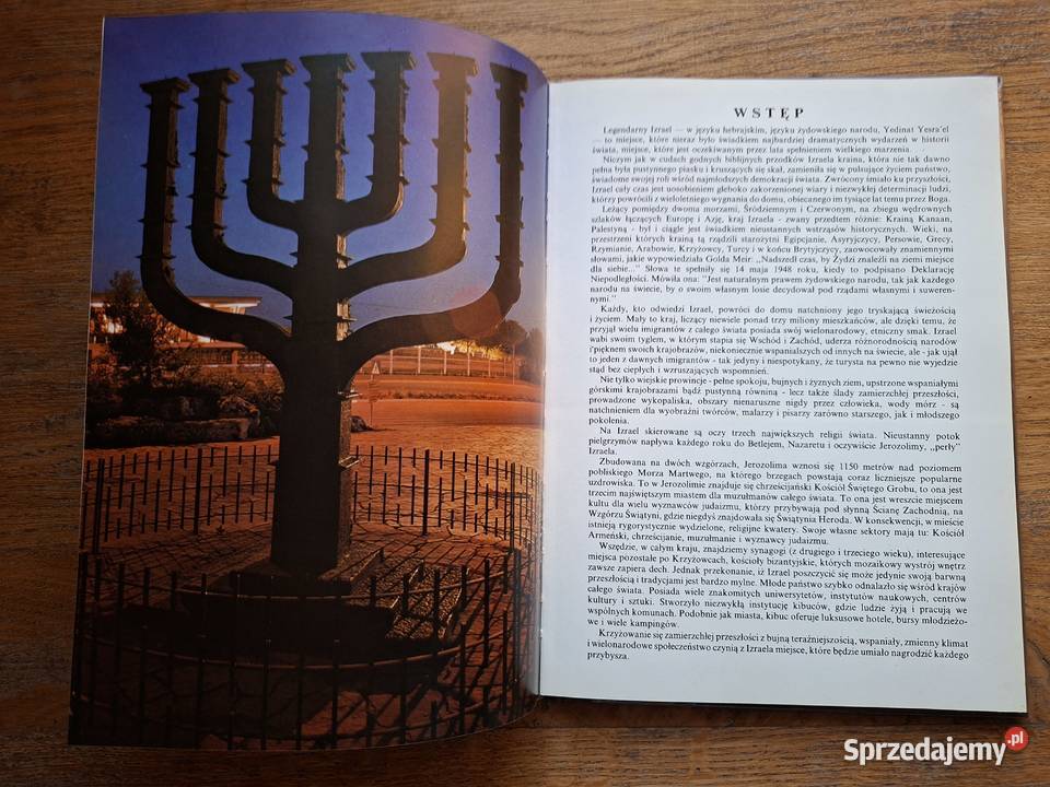 Izrael historia i sztuka przewodnik