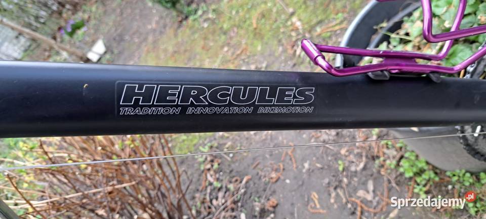 Sprzedam Rower Męski Hercules Street Tradition Wrocław sprzedam