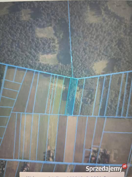 Sprzedam działkę rolną nieużytek rolny zalesiony Brzostówka