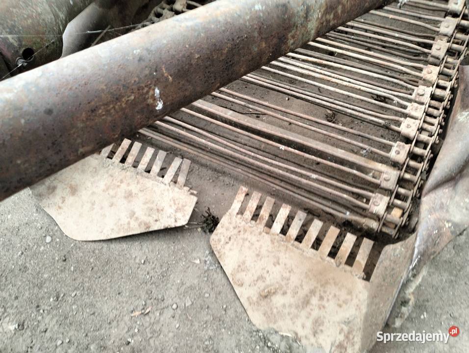 Sprzedam kopaczkę elewatorowa Czechy