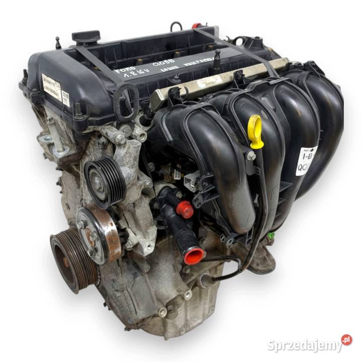 SILNIK QQDB Ford Focus II MK2 C C 18 16V 125 Chełm