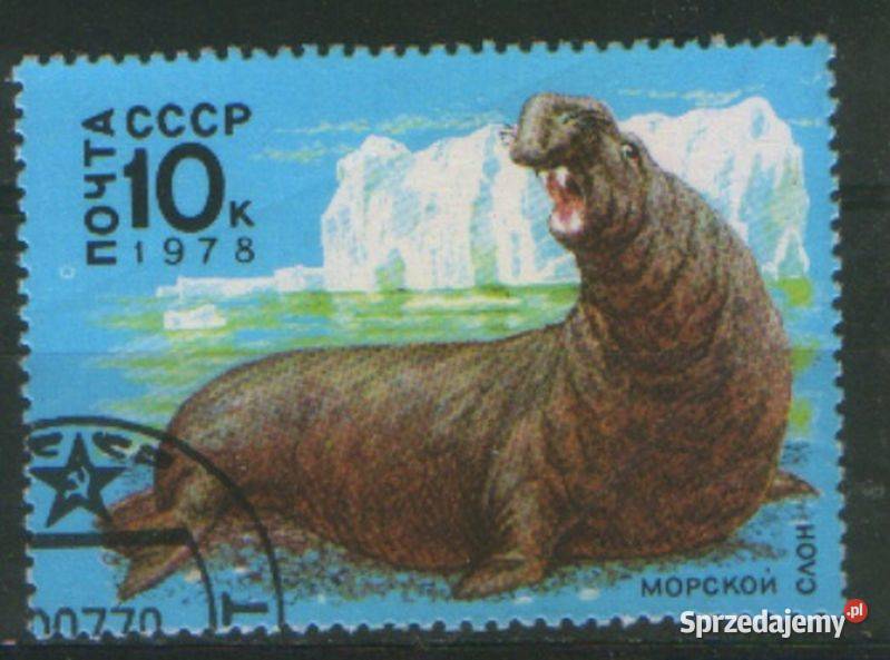 Zn ZSRR Mi 4746 kas 1978 śląskie Gliwice