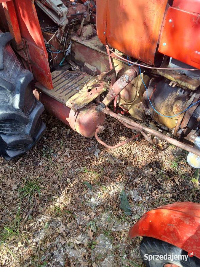 Zetor 2511 Zetor Rolnictwo lubuskie Żary