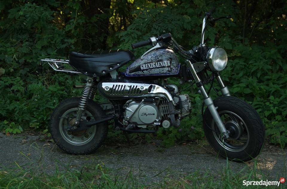 SKYTEAM MONKEY 125 stunt niecbrr1r6 Nisko