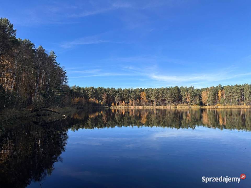 Działka budowlana kolorowe jeziorka Sprzedaż Chełmica