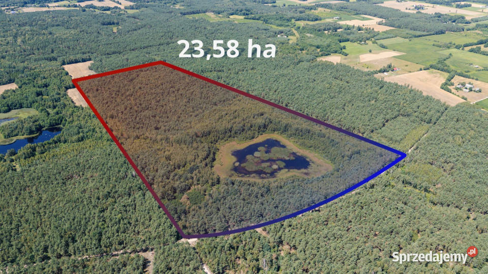 Duża działka z lasem i oczkiem wodnym Babiec-Więczanki