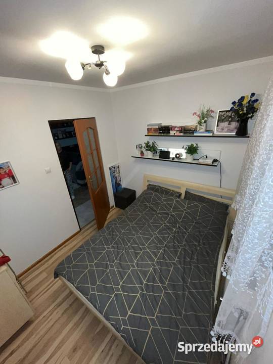 sprzedam dom siedlisko 120m2 Sprzedaż podlaskie Kołodno