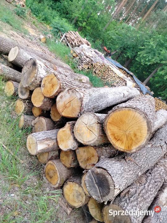 Drewno opałowe i kominkowe Bieszewo