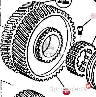 Massey Ferguson 3690 Koło Zębate Zębnik Skrzyni Jastrzębniki