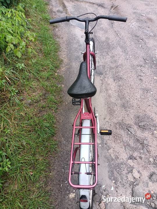 Rower Phil Roggers koła 26 damka Toruń