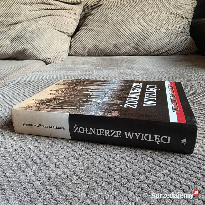 Żołnierze wyklęci Niezłomni bohaterowie Joanna Rok wydania 2013 małopolskie Kraków sprzedam