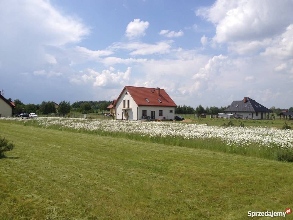 Działka Waszulki wydane warunki zabudowy Nidzica 20zł/m2