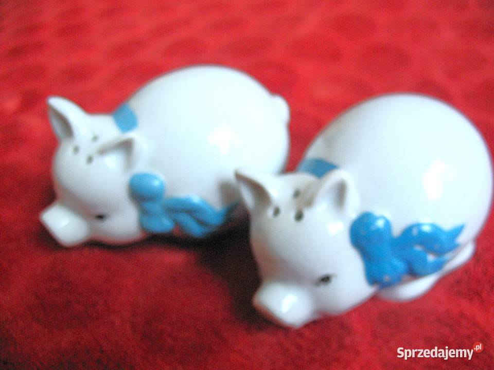 Sól i pieprz świnki 5 x 8 x 5 Solniczka i mazowieckie Siedlce sprzedam