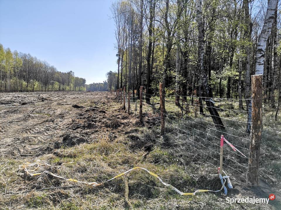 Siatka leśna Ogrodzenie tymczasowe Ogrodzenie Zielona Góra