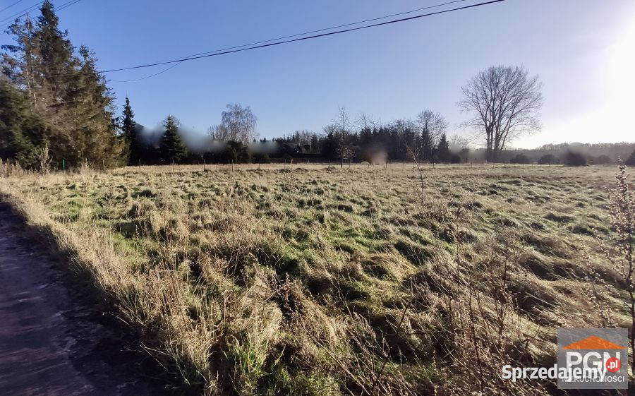 Działka 4892m2 Sierosław sprzedam