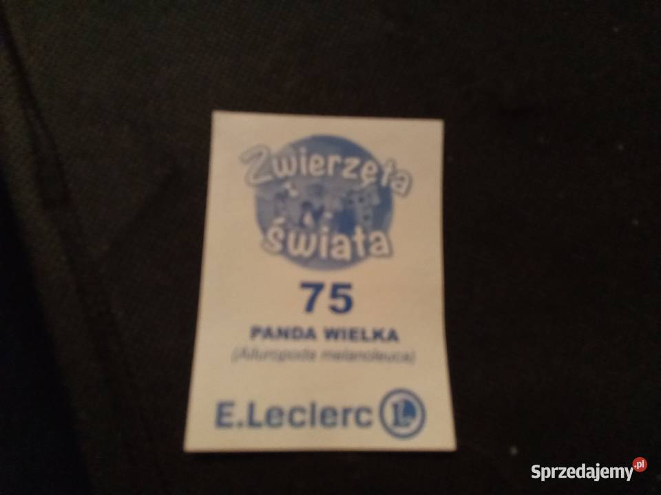 Naklejka zwierzęta świata Panda wielka 75 mazowieckie Warszawa sprzedam