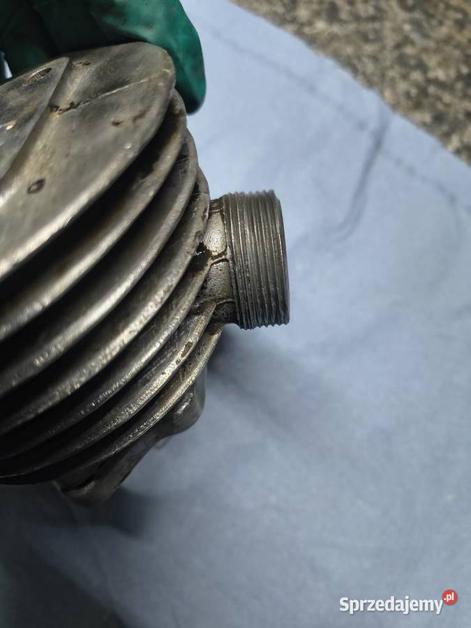 Cylinder komar sztywniak żak podkarpackie Rzeszów