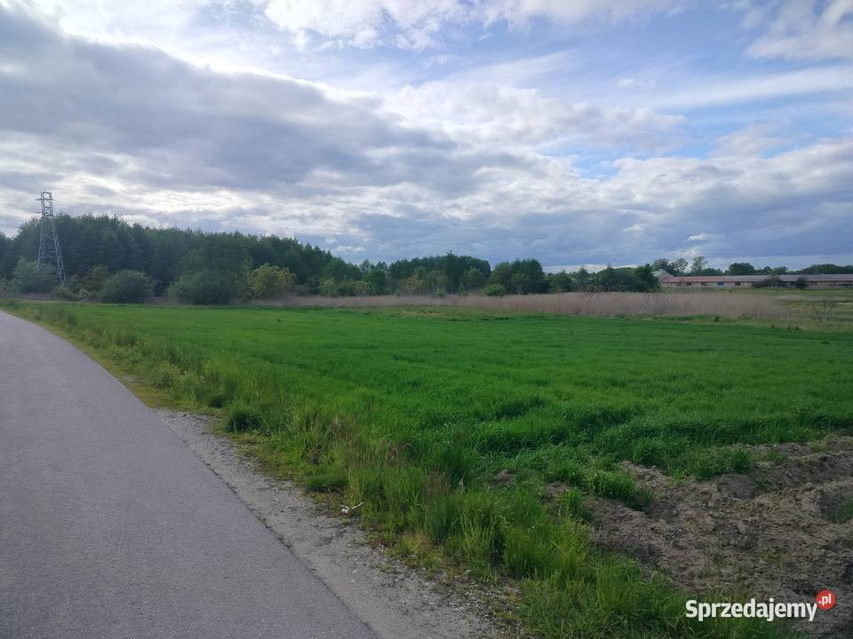 Działka 30 arowa w Głuchowie k Łańcut woj sprzedam