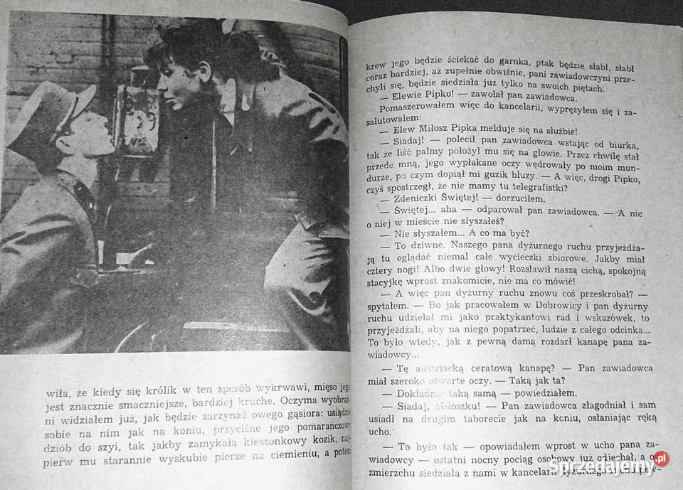 Pociągi pod specjalnym nadzorem Bohumil Hrabal Chełm