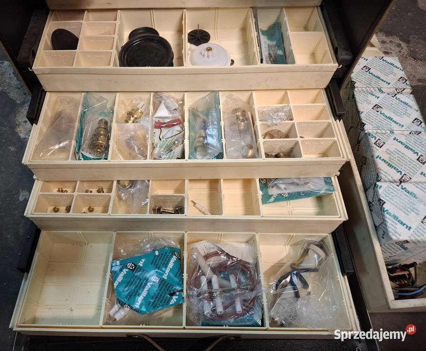 WALISKA SERWISOWA WAILANT