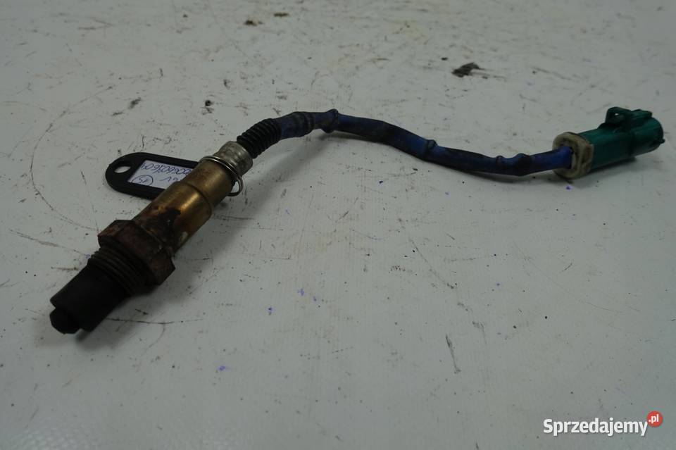 Ford C 16 16V SONDA LAMBDA 0258006603 Oryg osobowe lubelskie Rudka
