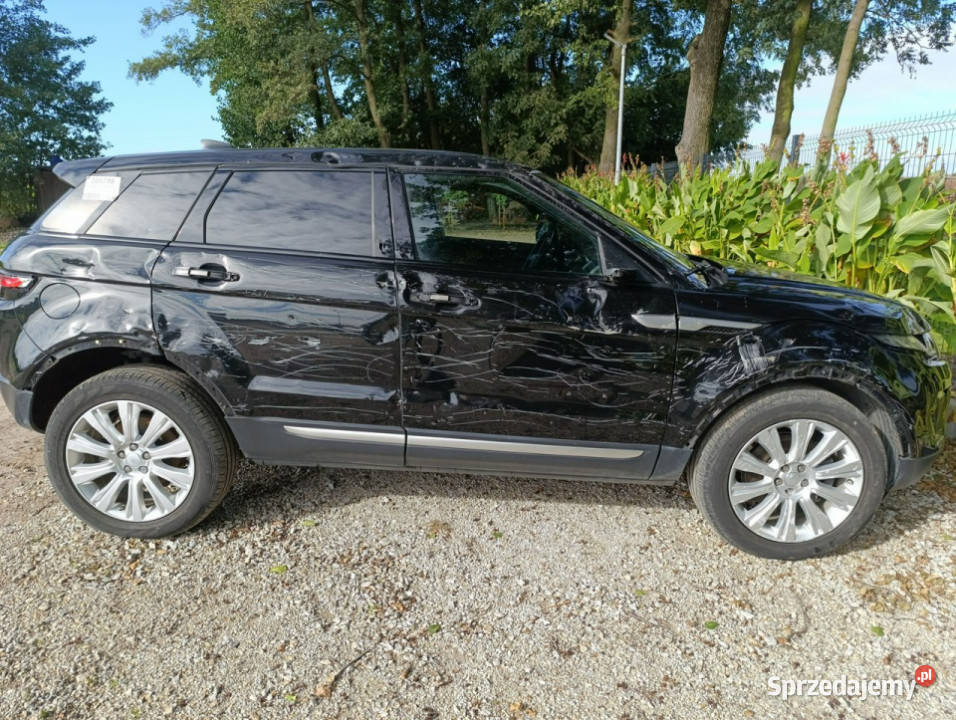 Land Rover Range Rover Evoque Evoque I 20112018 wielkopolskie Pleszew